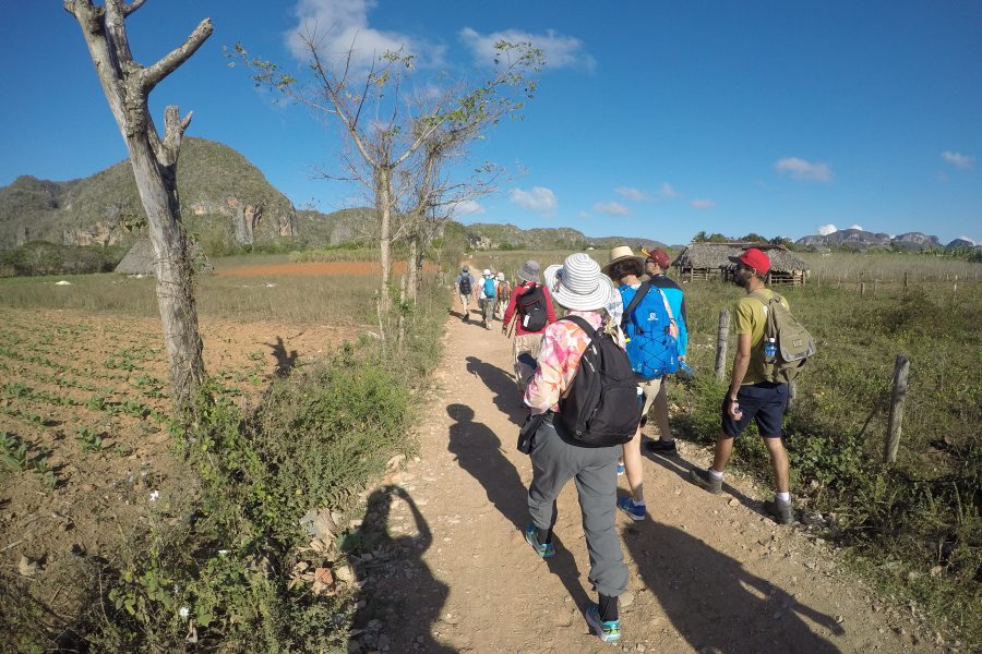 Hikers walk along a dirt path through a rural landscape, surrounded by fields, trees, and distant hills under a clear blue sky. Some wear backpacks and hats for sun protection.